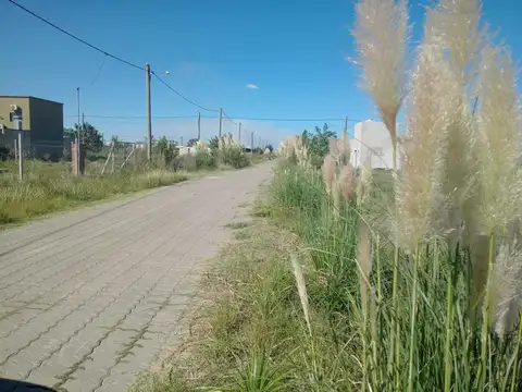 Terreno en Venta en Zarate, USD 24.000