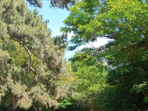 Terreno en Venta, FOT 1