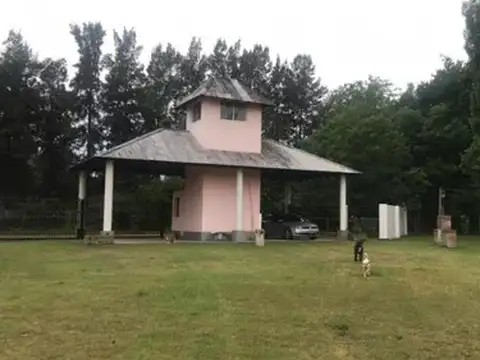 Los Girasoles de Lujan