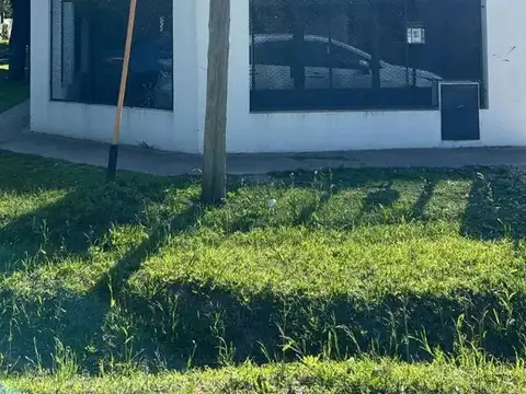 Nicolas Copérnico y W. Scott