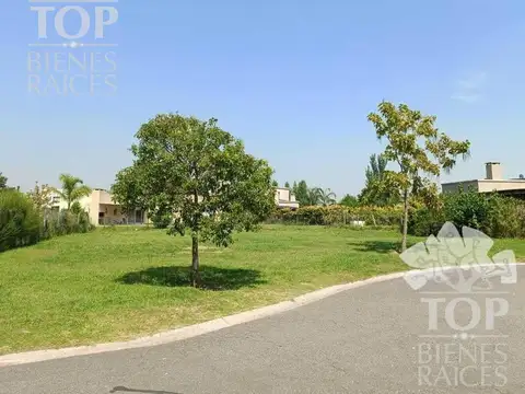 El Canton - Norte 300