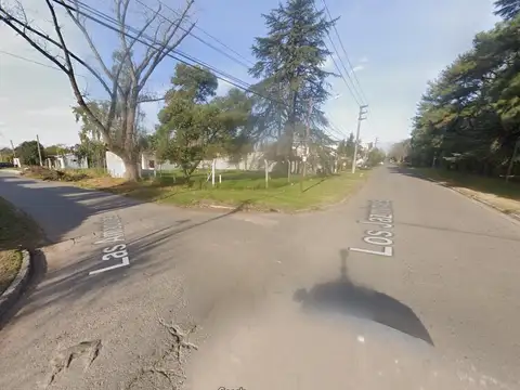 Los Jazmines - Los Cachorros 100