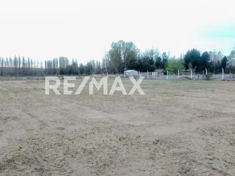 Terreno en Venta en Plottier, USD 240.000