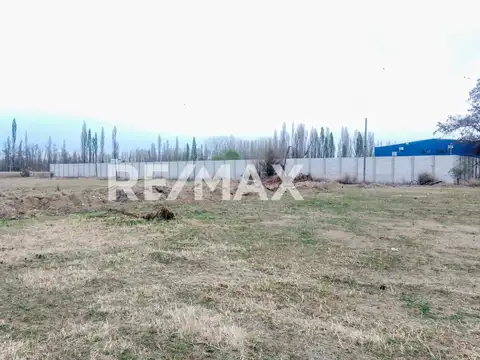 Fernando Guerrico 3800