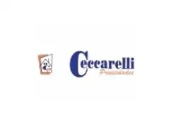 CECCARELLI PROPIEDADES