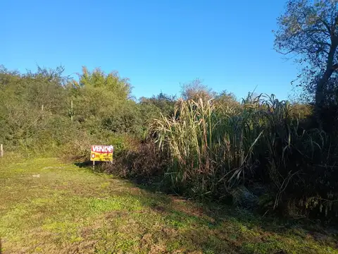 Zaragoza Prolongación S/N