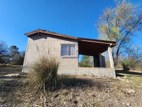 Nido de Zorzales 100