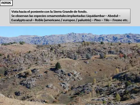 Camino a La Cumbrecita Cordoba