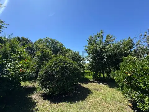 san francisco javier 500 , Piso 0