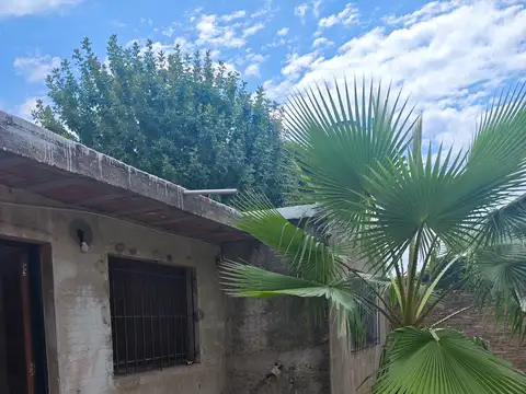 Mendoza 7700 (Gschwind 1278)