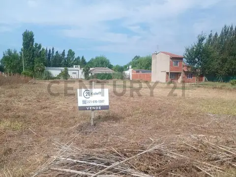 Terreno en Venta en Lisandro Olmos Etcheverry, USD 22.000