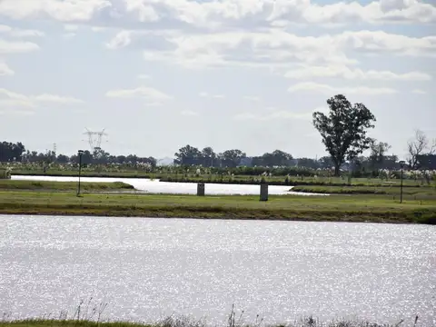 Terreno en Venta de 800,0 m2