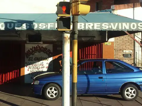 DE LOS DERECHOS HUMANOS 100