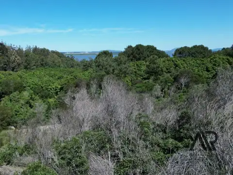 Terreno en Venta 37,44  mts Frente