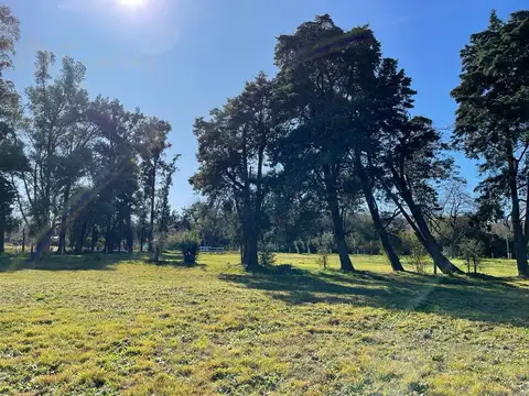 Terreno en Venta de 1200,0 m2