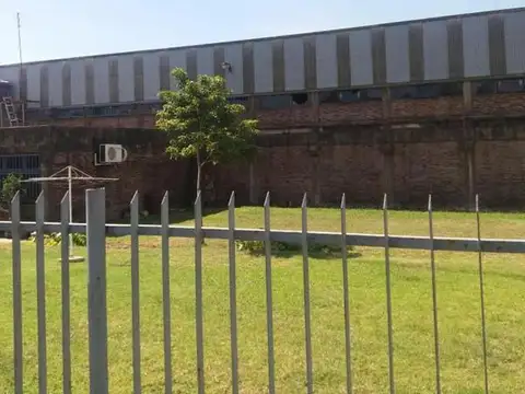 Pablo Areguati   4800