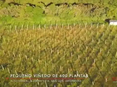 Quinta en Venta en Carpinteria, USD 80.000