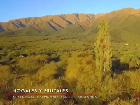 Quinta en Venta A Estrenar