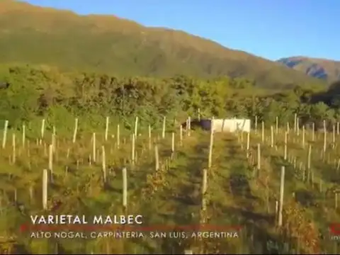 SAN LUIS CARPINTERIA