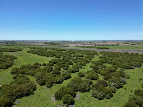 Terreno en Venta en General Madariaga, USD 250.000