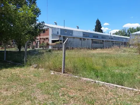 Parque Industrial Norte, Calle 3 100