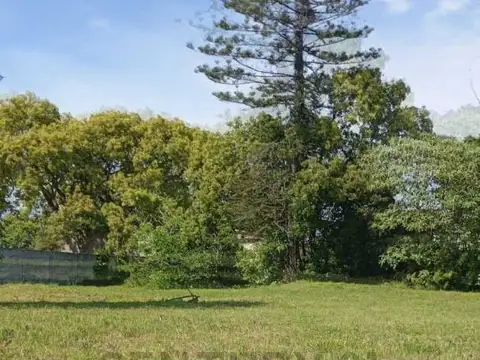 37 entre 126 y 127 , Piso 0