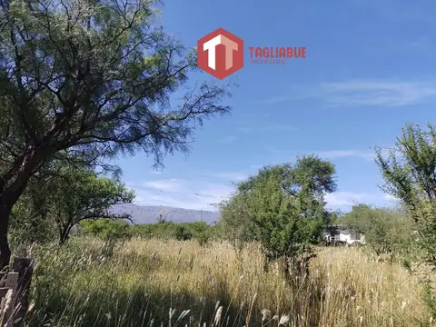 Terreno en Venta de 814,0 m2