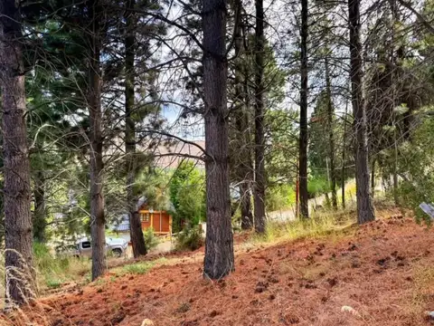 Terreno en Venta de 920,0 m2