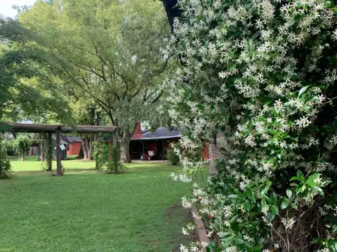 andres Chazarreta, 100