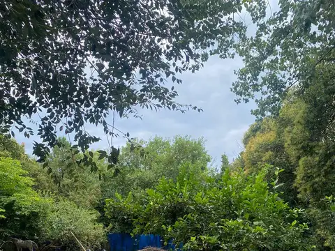 Facundo Quiroga 2300