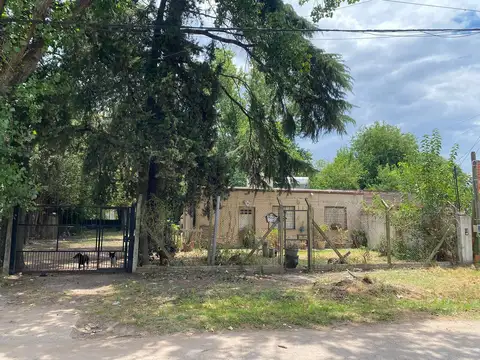 Casa en Alquiler en Villa Zapiola, $ 550.000