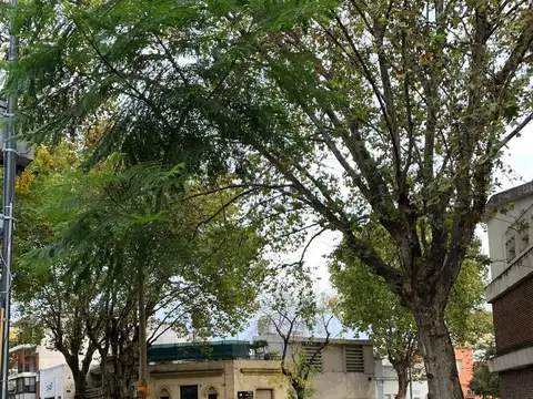 Terreno en Venta 62  mts Fondo