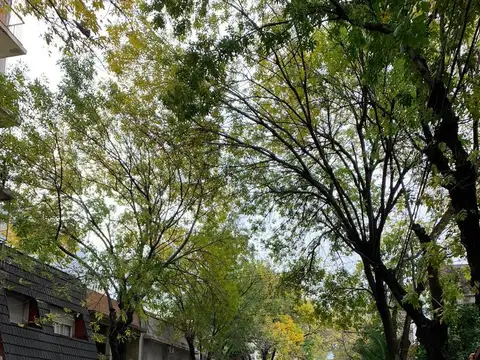 Terreno en Venta de 719,0 m2