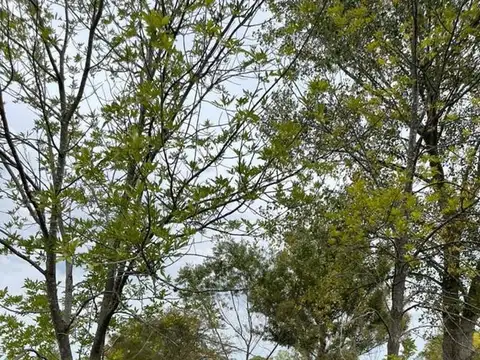 Terreno Lote en Venta en Molino Blanco Sin Red Eléctrica- Exaltacion de la Cruz