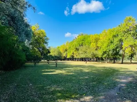 Lote para desarrollo inmobiliario y comercial Pilar