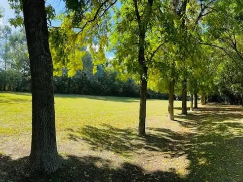 Terreno en Venta de 24000,0 m2