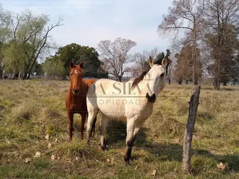 A 10 Minutos Del Centro De Marcos Paz