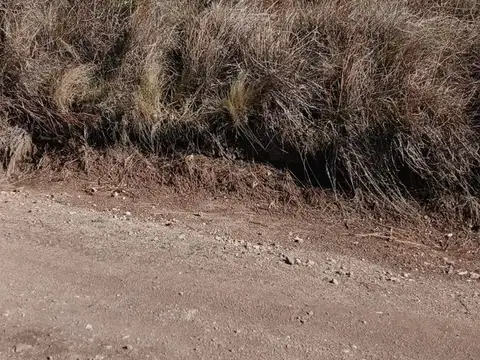 Terreno en Venta en Yacanto Calamuchita, USD 13.900