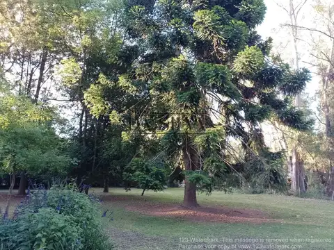 Increíble Esquina en Club de Campo El Moro! Marcos Paz