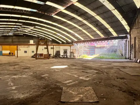 Francisco Pienovi 100