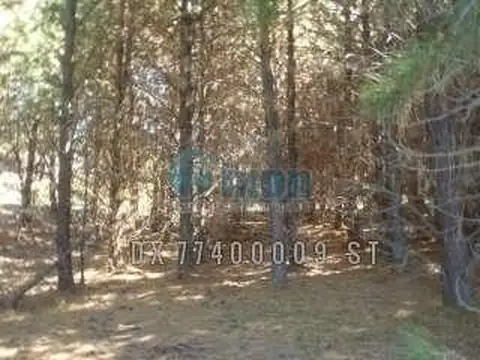 INCREIBLE TERRENO EN LA VEGA, SAN MARTÍN DE LOS ANDES