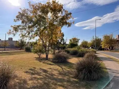 Terreno en Venta de 250,0 m2