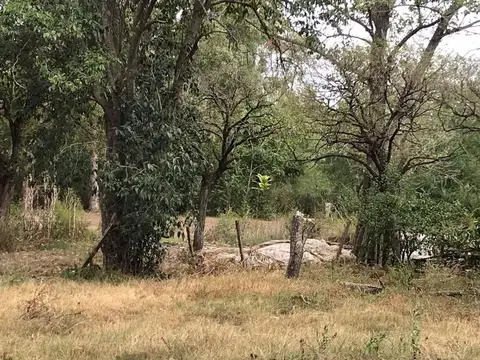 Terreno en Venta de 40000,0 m2