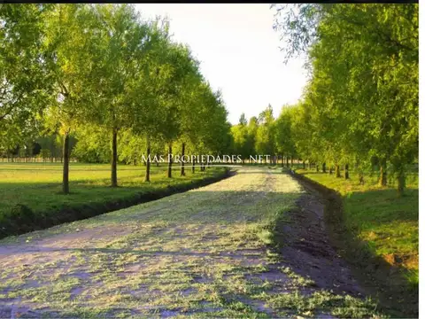 Terreno en Venta 24  mts Frente