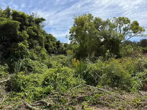 Terreno en Venta en Punta Ballena, USD 129.000