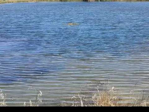 Terreno en Venta en Countries y Barrios Cerrados en Coronel Brandsen, USD 20.000