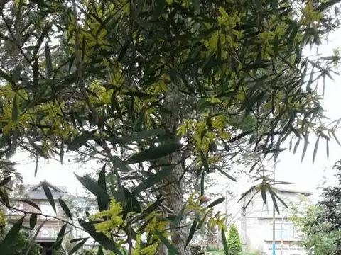 Casa en Venta en Pinamar, USD 120.000