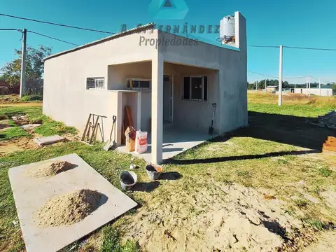 ANTONIO PALMIRO CASTAGNINI 50