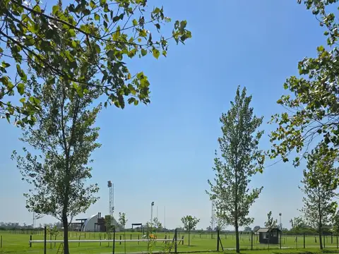 Terreno en Venta de 2625,0 m2