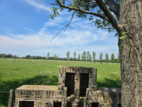 Barrio nuevo Alberdi- Fincas de Rosario